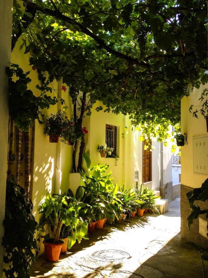 Casa Corasol, A Cozy, Comfy, 2Br House- Panoramic View And Rooftop Canar Luaran gambar